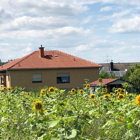 Ferienwohnung Carpe Diem Scheuerfeld エクステリア 写真
