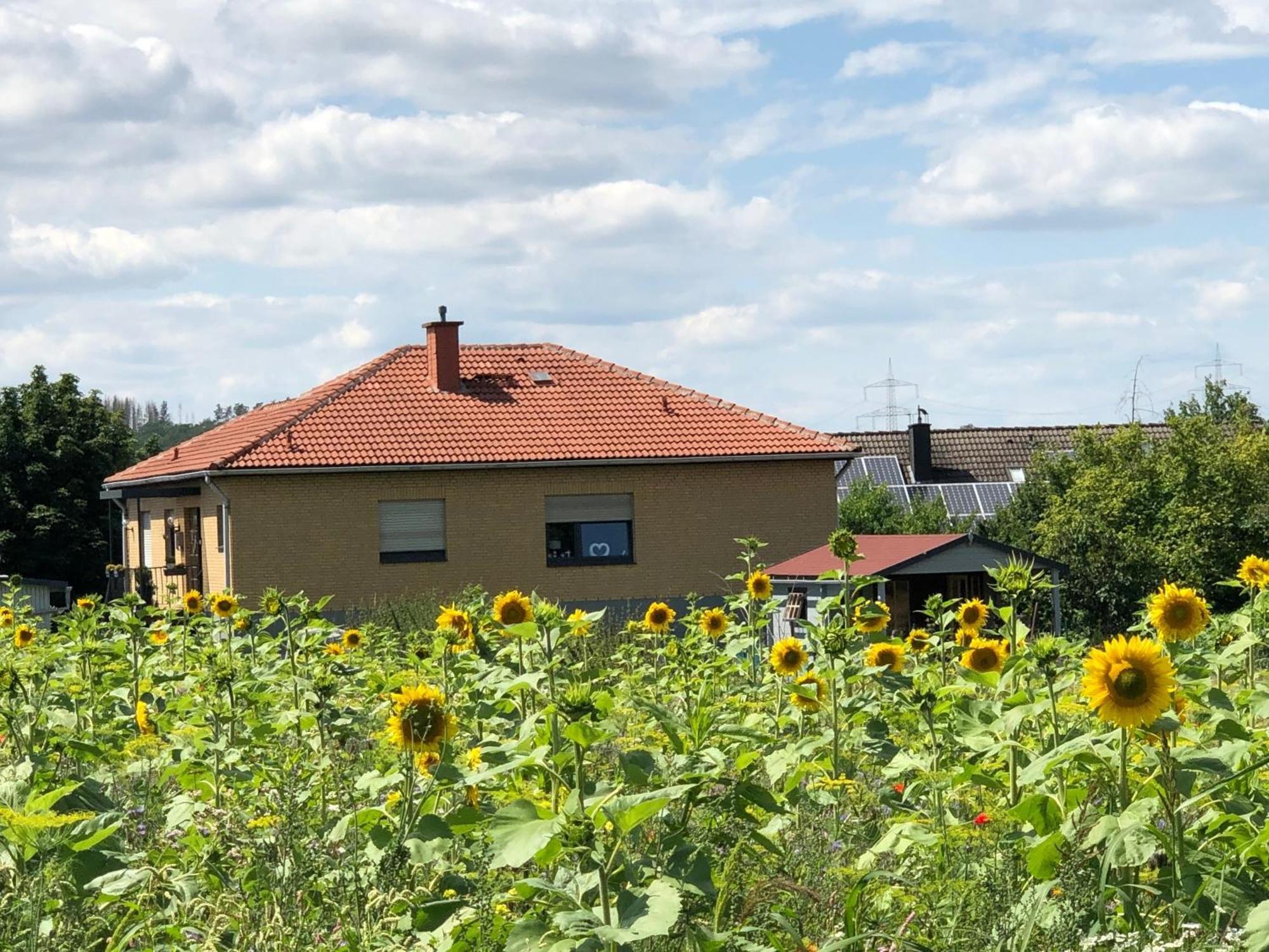 Ferienwohnung Carpe Diem Scheuerfeld エクステリア 写真